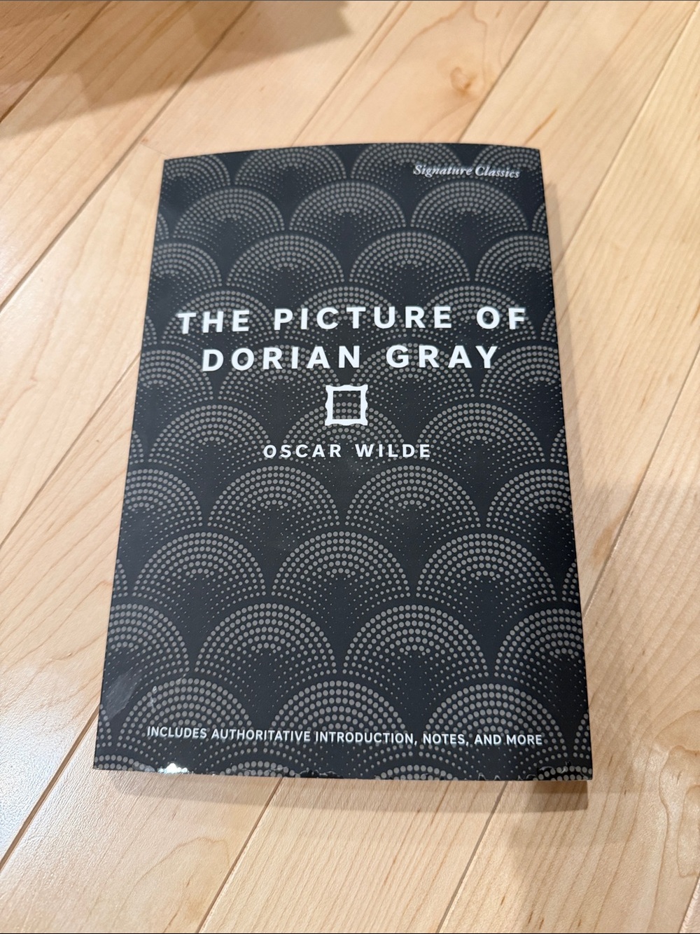 The Picture of Dorian Gray - Oscar Wilde. Paperback